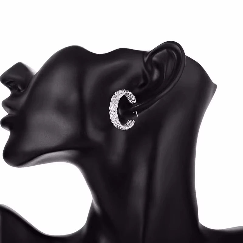 Original Designer 925 Sterling Silver Elegant Crystal Jewelry Fashion Zircon Circle Hoop Earrings For Woman Wedding Party Gift