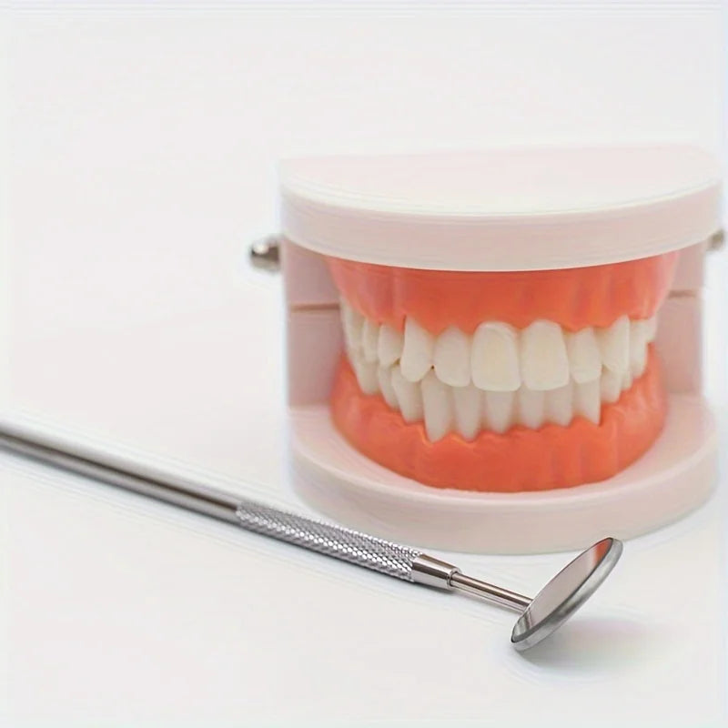 Stainless Steel Oral Cleaning Tool Set, Home Teeth Cleaning Kit With Storage Box, No Odor