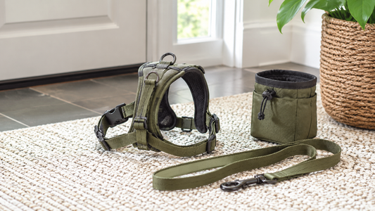 Durable dog leash harness and treat pouch arranged by an entryway