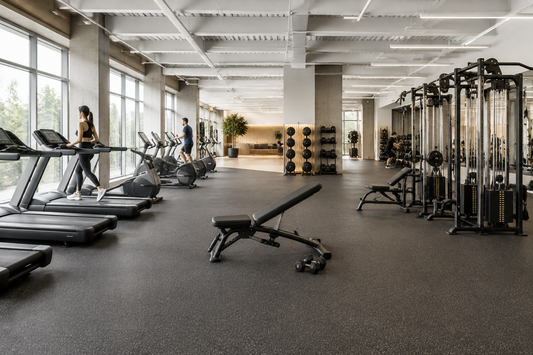 Modern welcoming gym with cardio and strength equipment