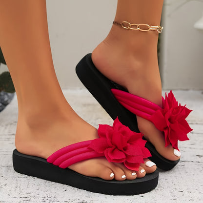 https://img.kwcdn.com/product/fancy/2c3ad78e-992d-410e-a294-1e5a58a67ead.jpg