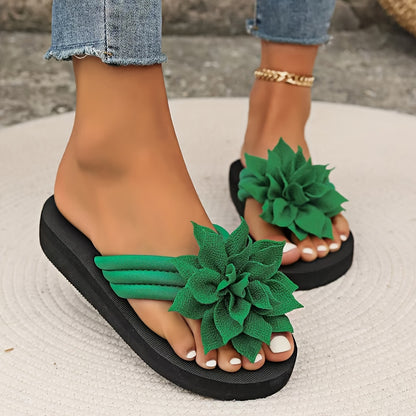 https://img.kwcdn.com/product/fancy/81bb4198-f4d9-4219-bb05-8fa4a452aa96.jpg