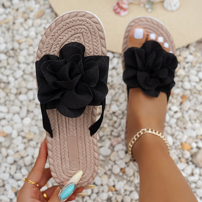 https://img.kwcdn.com/product/fancy/8c8d65a0-9ee3-4e07-bb93-1d5bd8df476b.jpg