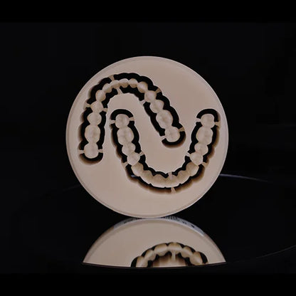 1pcs Dental PMMA Resin Plate For CAD/CAM System 98mm Carving Block Translucent Disc 10-25mm Clear Dentist Materials Lab Material
