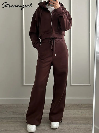 Women Tracksuits Winter Fleece Sweatsuit Brown Warm Crop Zipper Hoodies And Sweatpants Set For Women 2 Piece Velvet Pants Sets