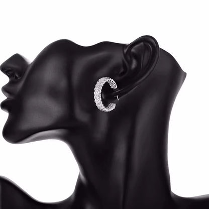 Original Designer 925 Sterling Silver Elegant Crystal Jewelry Fashion Zircon Circle Hoop Earrings For Woman Wedding Party Gift
