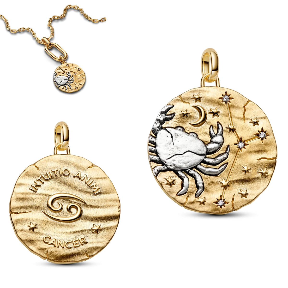 New Original 925 Sterling Silver The Twelve Zodiac Signs Cat Flower Earrings Pendant Necklace For Women Jewelry Birthday Gift