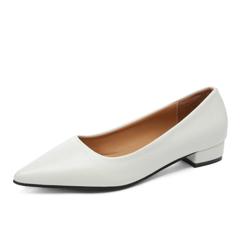 New Pointed Toe Shallow Mouth Square Heel Small Leather Shoes Women's Elegant Fashion High Heels Dress Shoes Zapatos Mujer