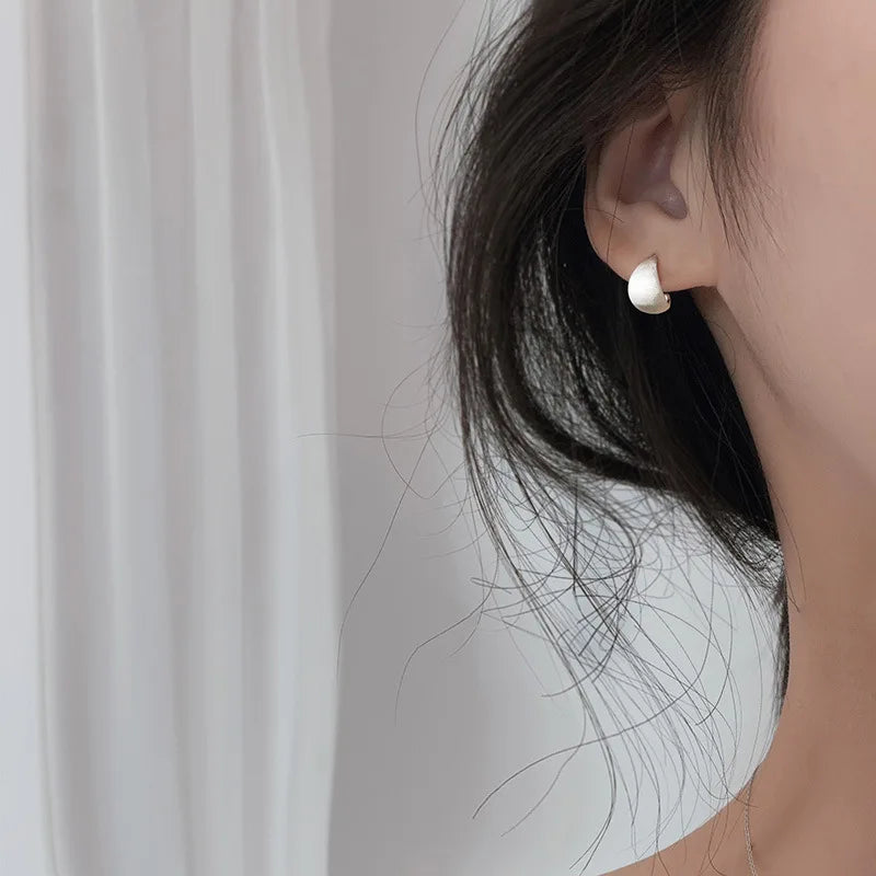 925 Sterling Silver Frosting Small Stud Earrings For Women Piercing Earring Wedding Luxury Quality Jewelry Wholesale Money 925