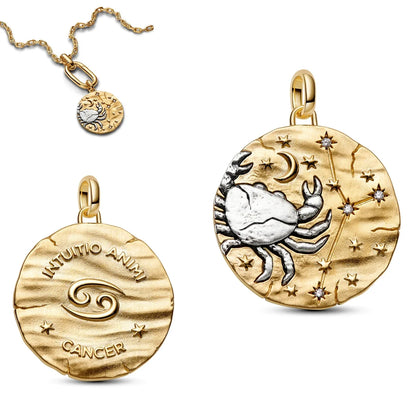 New Original 925 Sterling Silver The Twelve Zodiac Signs Cat Flower Earrings Pendant Necklace For Women Jewelry Birthday Gift