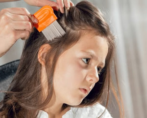 شامبو Lemsni Please المضاد للقمل مع مشط لإزالة القمل والبيض خلال 15 دقيقة 200 مل